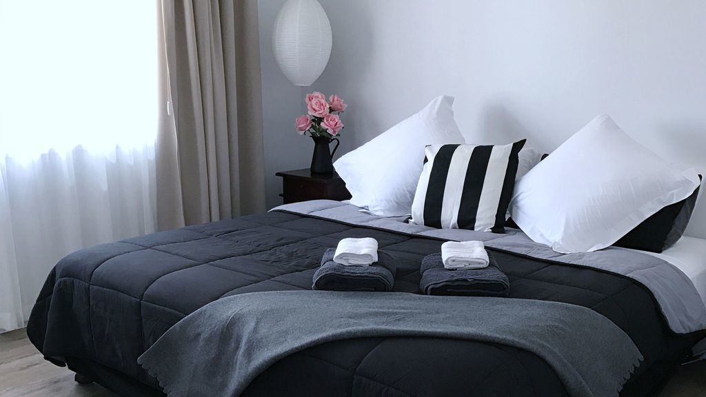 Songbird Lodge Near Surfers Paradise Pet Friendly