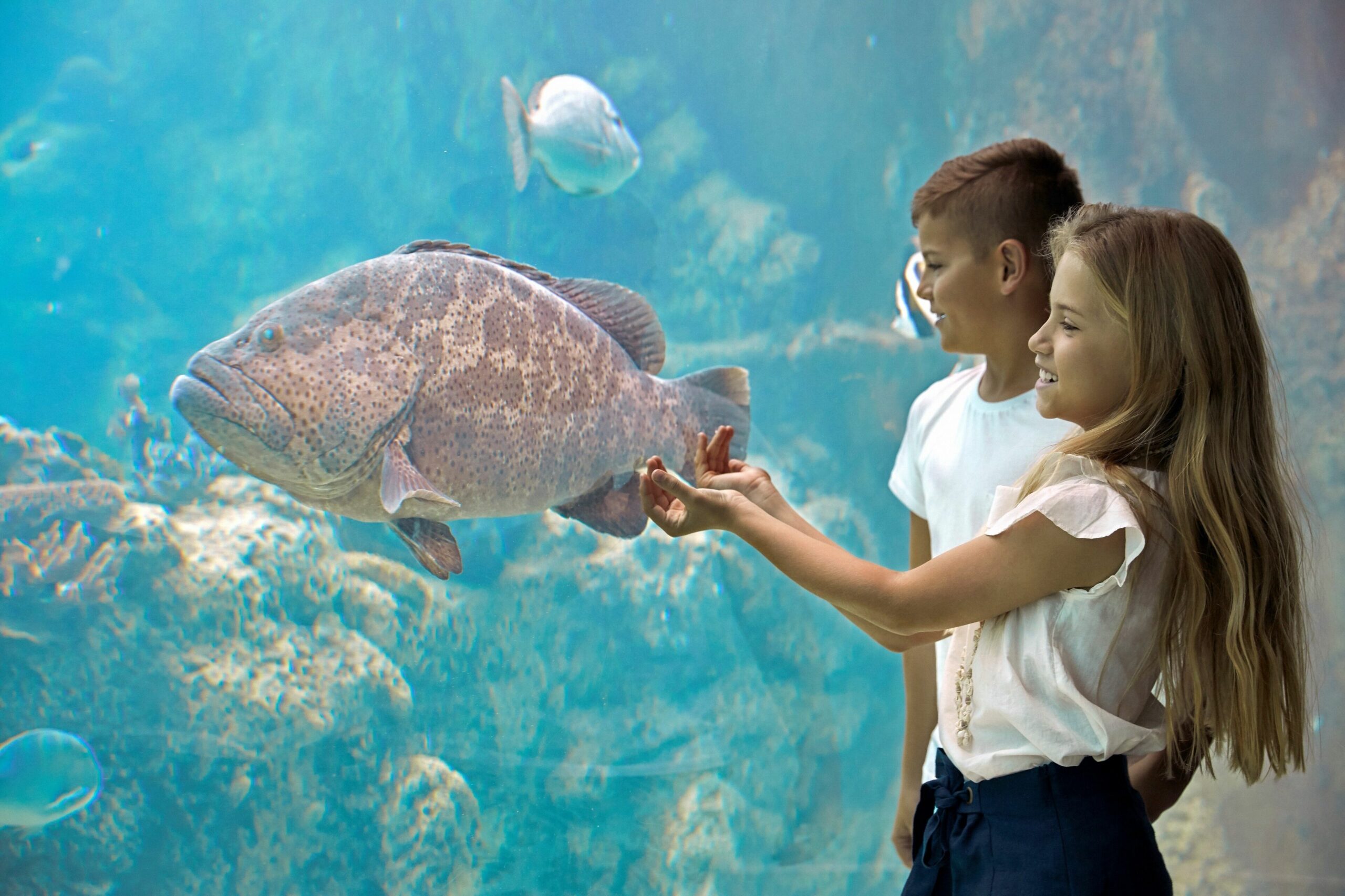 Daydream Island Resort