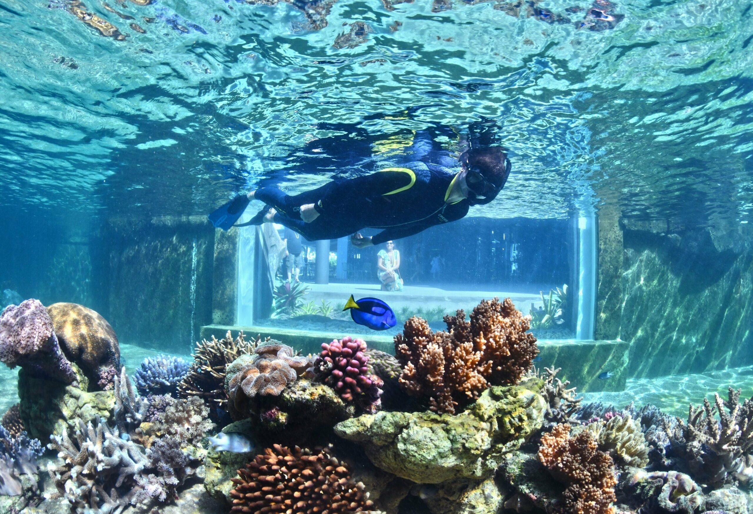 Daydream Island Resort