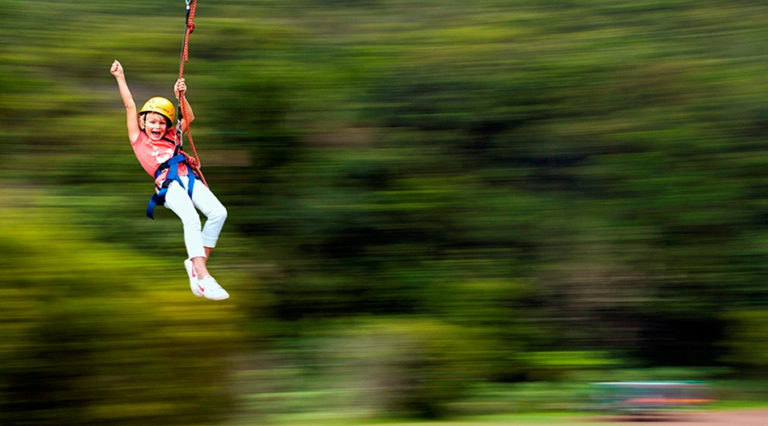 O'Reilly's Rainforest Retreat