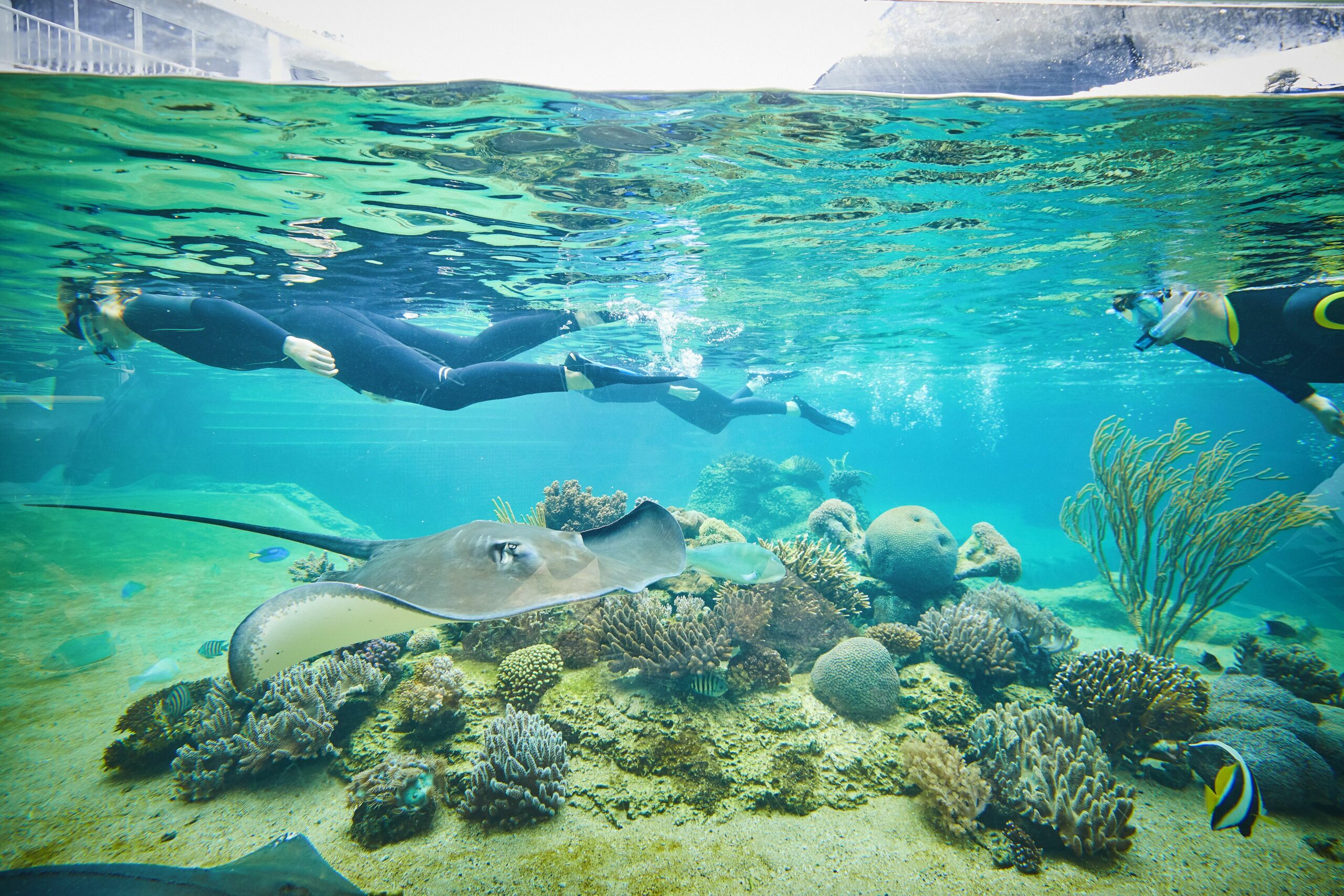 Daydream Island Resort