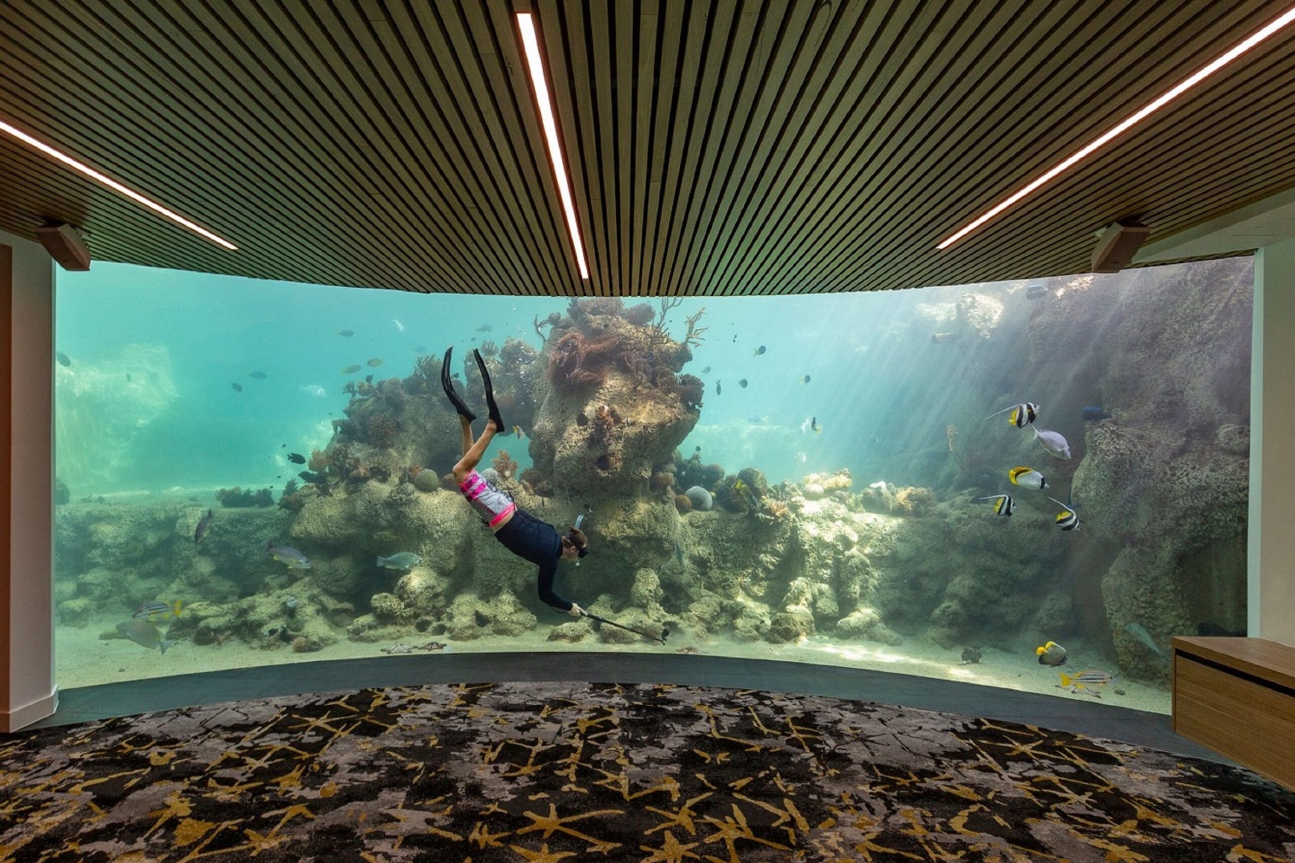 Daydream Island Resort