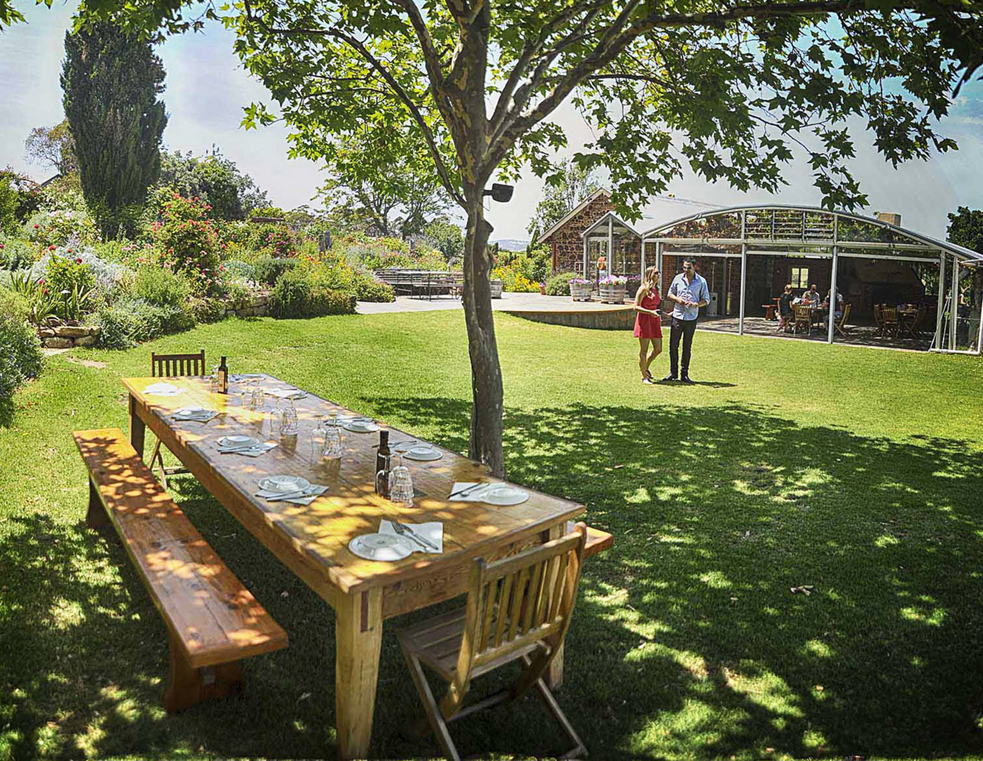 McLaren Vale Winery Experience – Small Group Tour