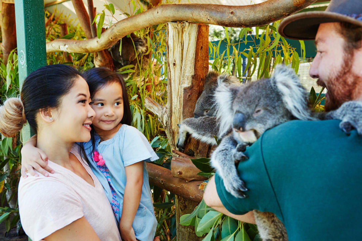 Perth Family Fun Day – Designed for Kids