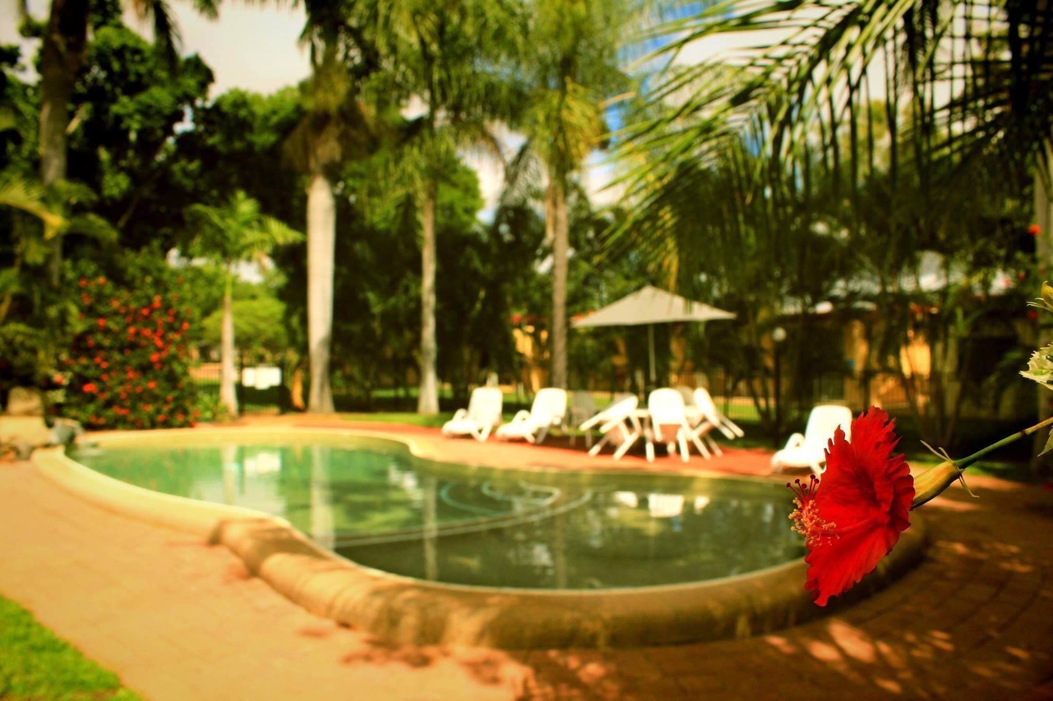 Dalrymple Tourist Van Park