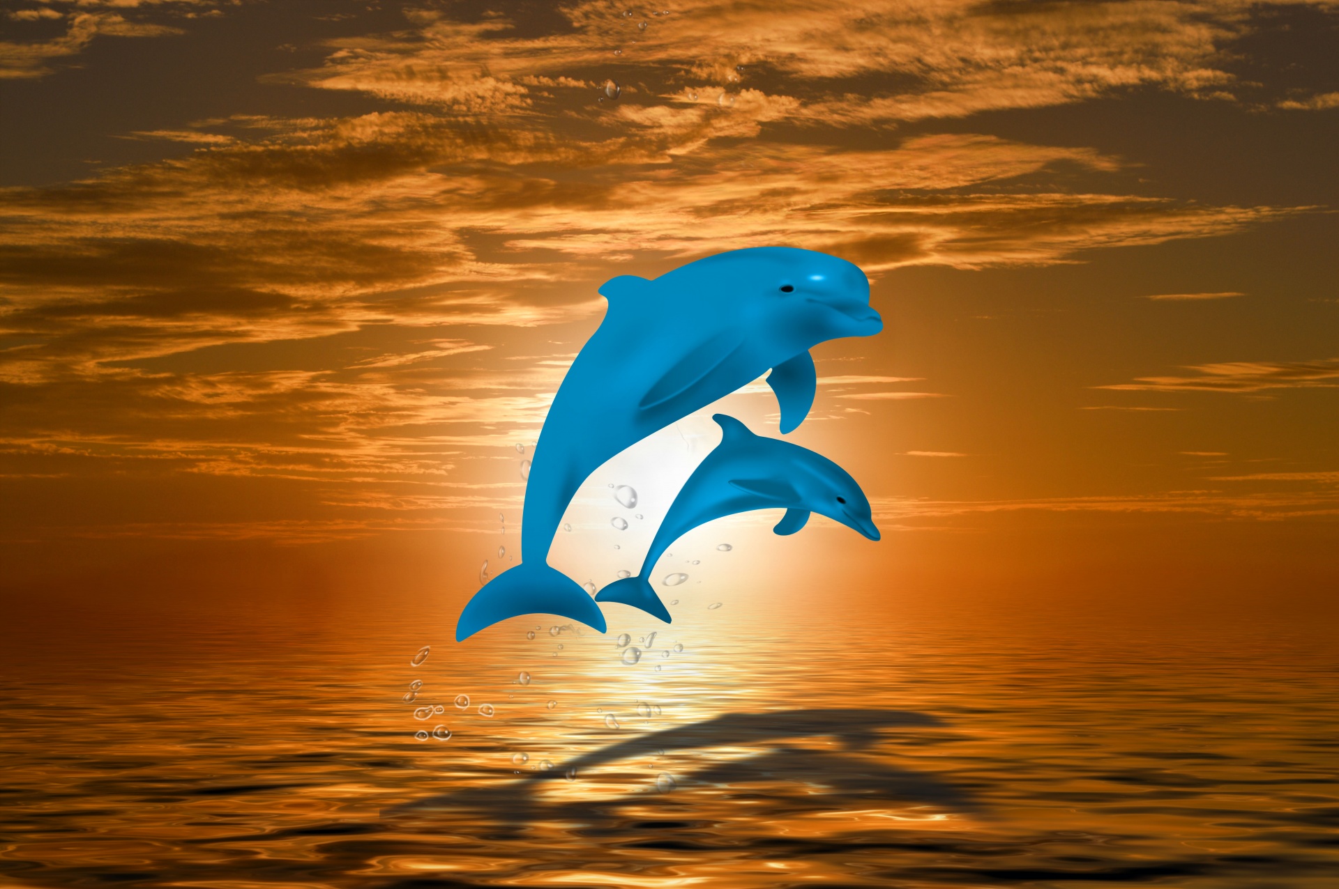 Sunset XMAS DAY River Cruise