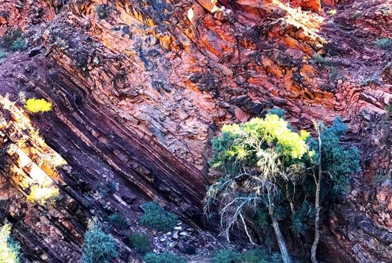 Flinders-ranges-walk-20