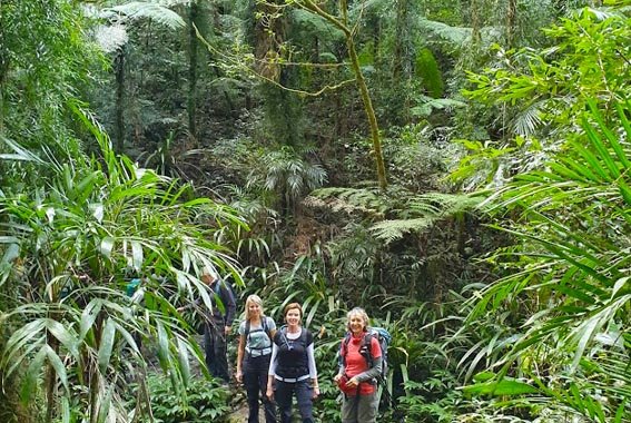 Gold-Coast-Hinterland-walk-Queensland-9