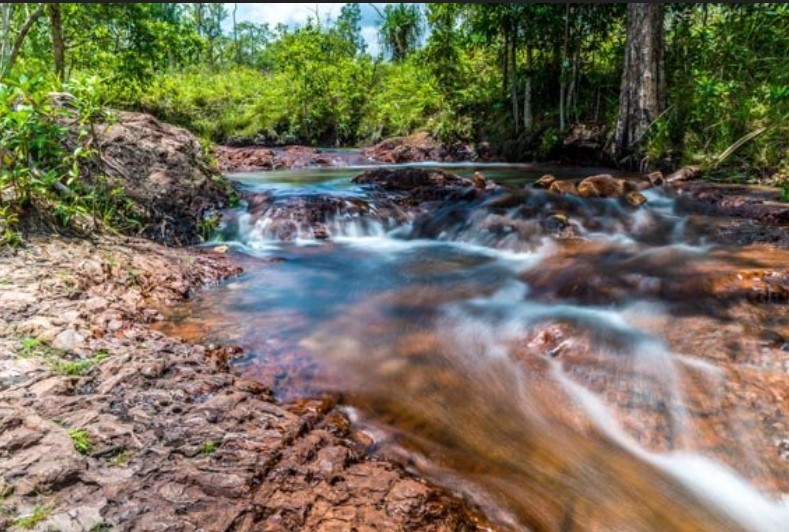 Kakadu-guided-walking-holiday-Northern-Territory-10