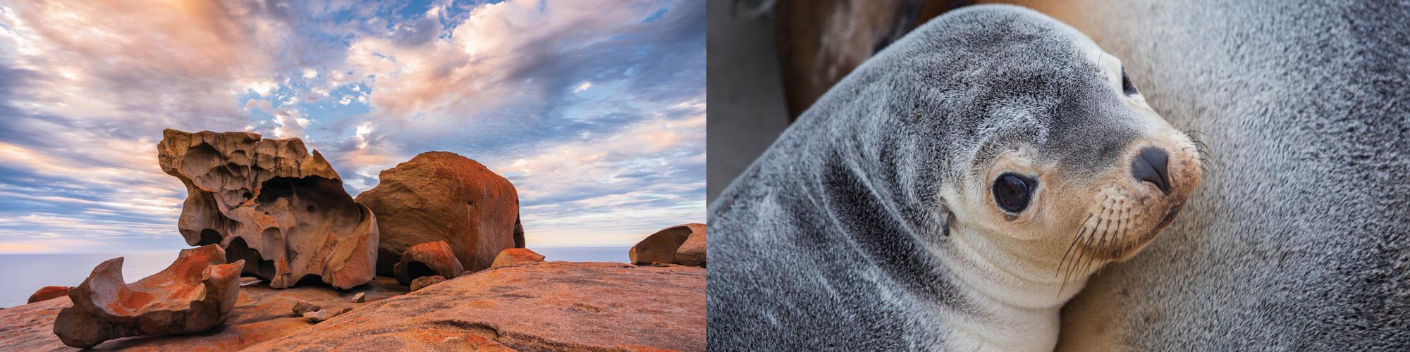 Kangaroo Island walk