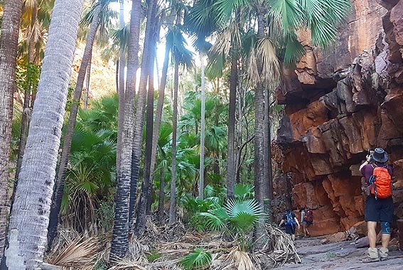 Kimberley-walk-Western-Australia-6