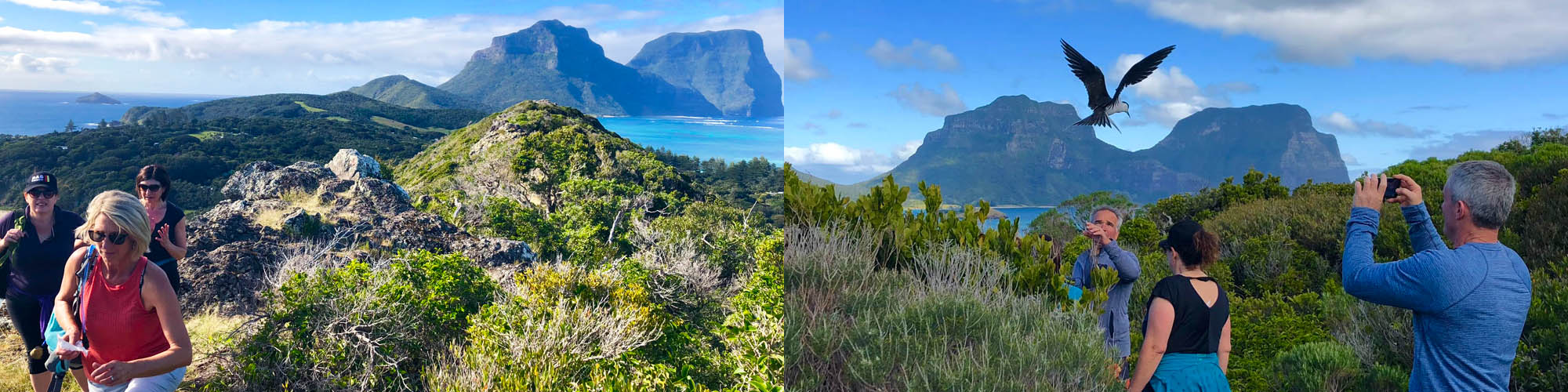 Lord Howe Island