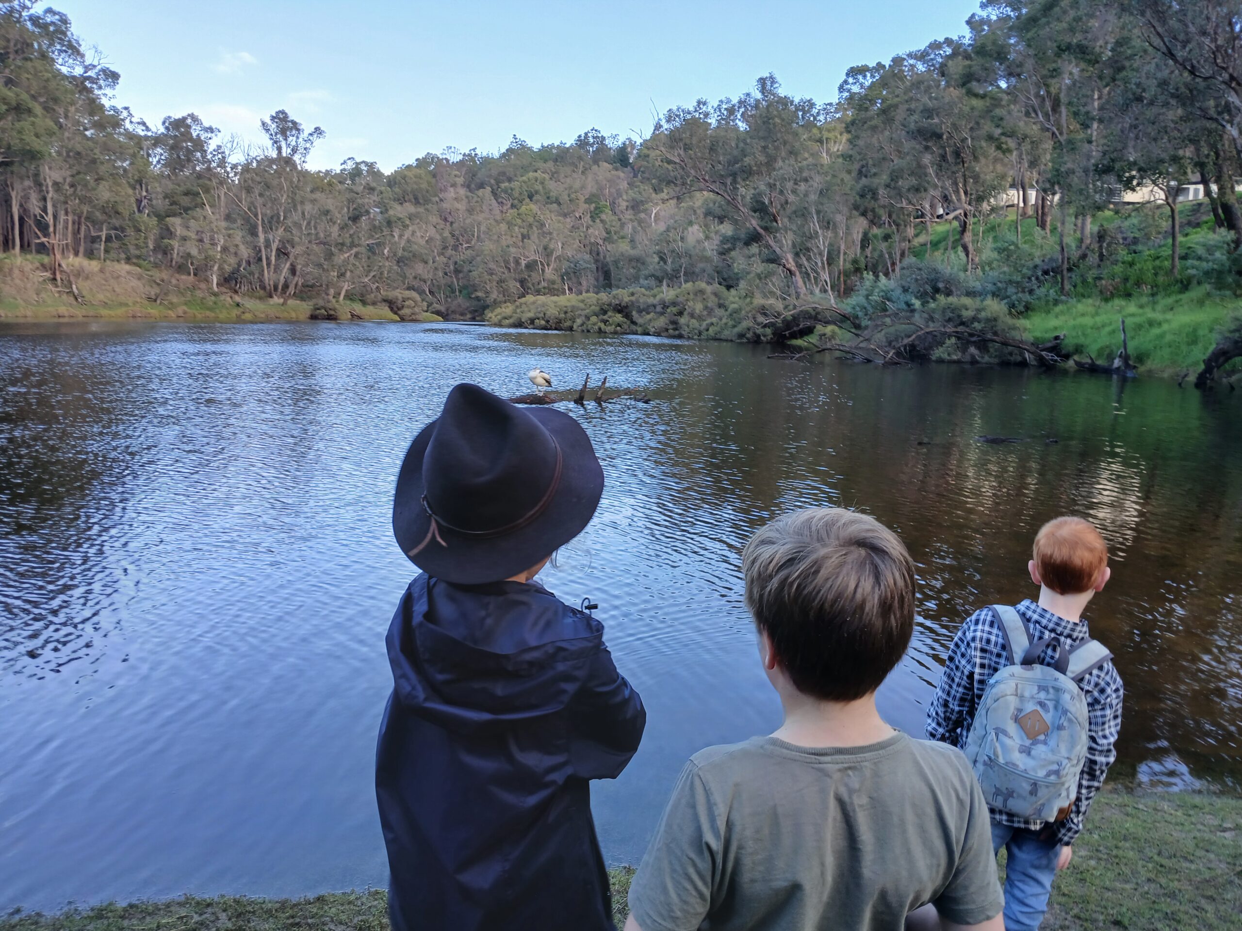 Bridgetown Forest Adventure Drop-Off (Parents’ Escape!)