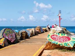 Dolphin Lunch River Cruise