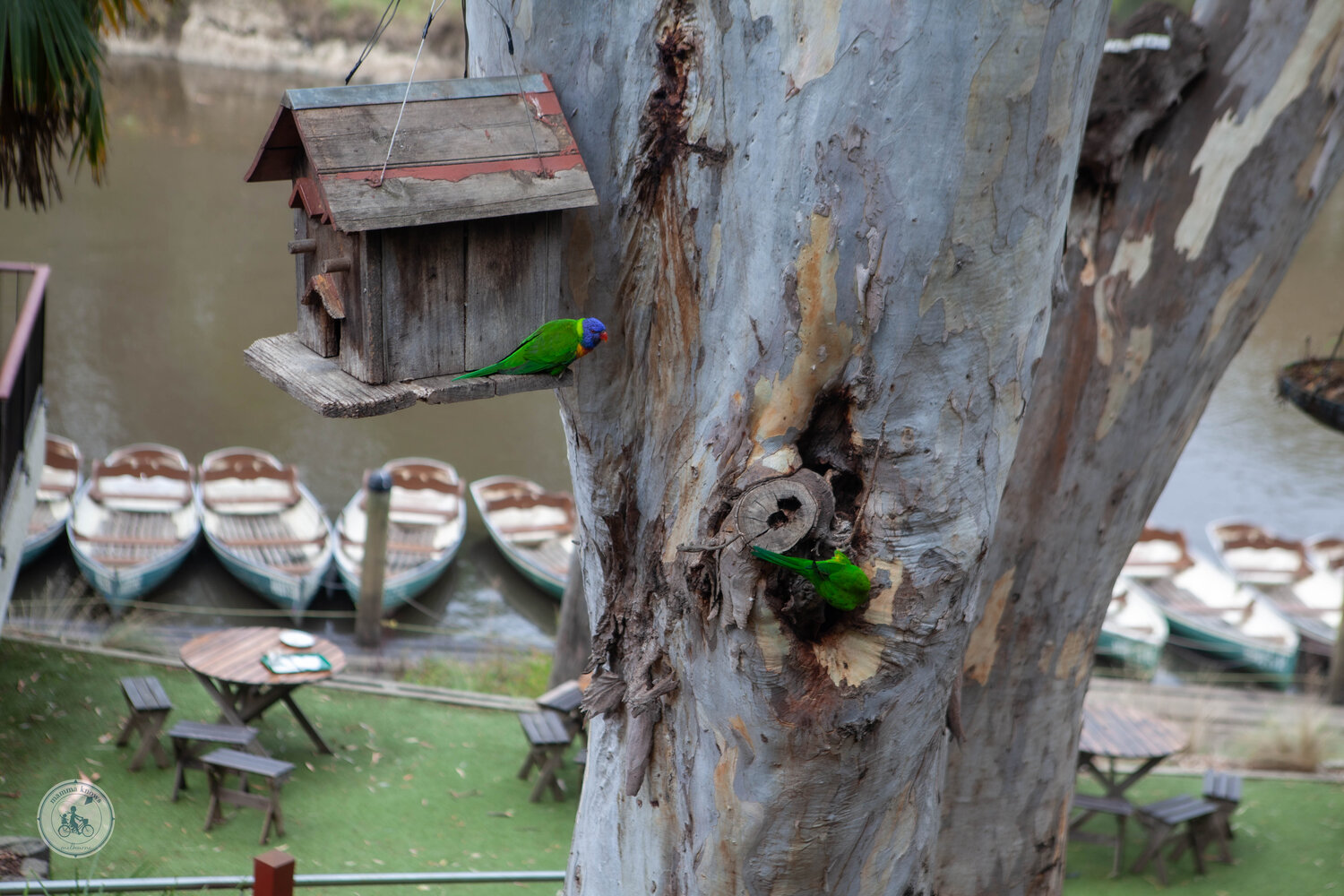 Melbourne Tour: Walk the Yarra to the Historic Fairfield Boathouse